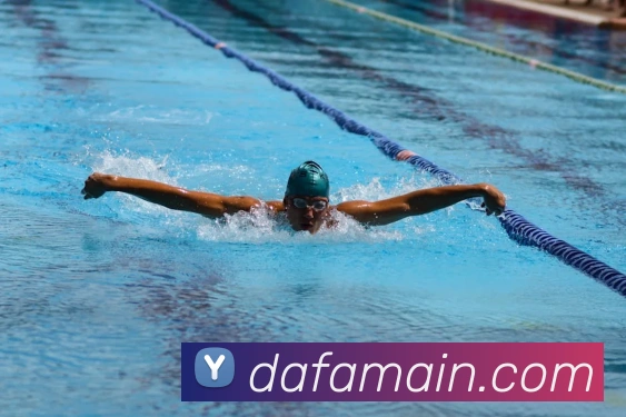 大发娱乐平台生态图